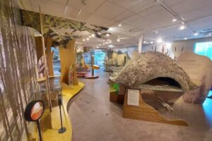 Iroquois National Wildlife Refuge Visitor Center