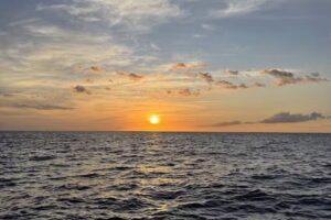 Iruka Hawai‘i Dolphin and Manta Tours