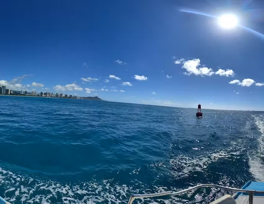 Iruka Hawaii Dolphin Snorkeling Tours