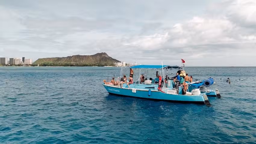Iruka Hawaii Turtle Snorkeling Tours
