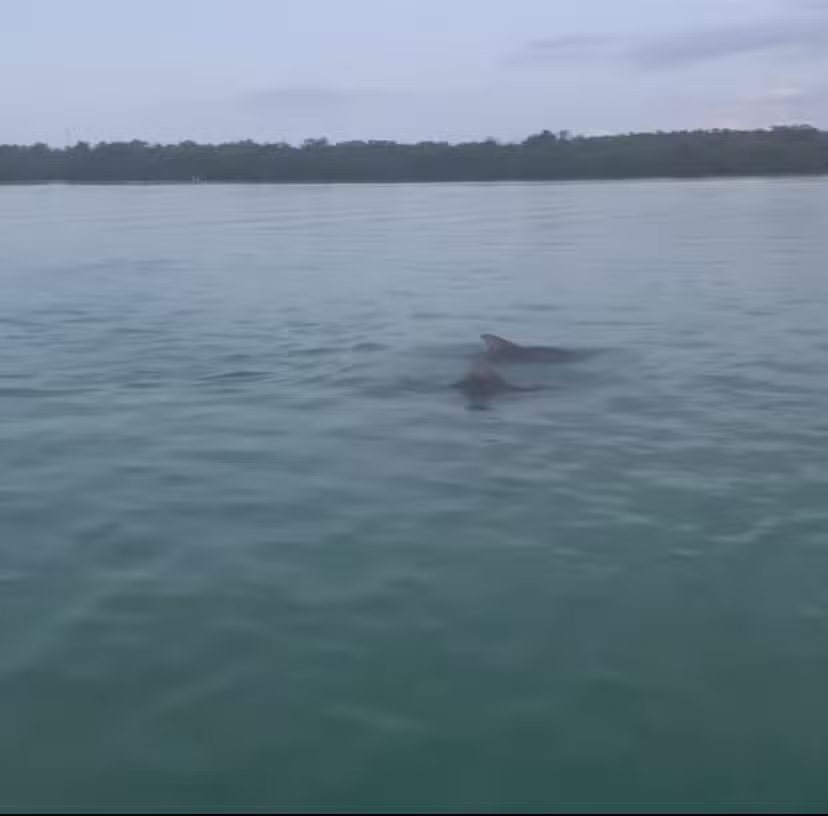 Islamorada Boat Tours