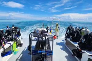 Islamorada Dive Center