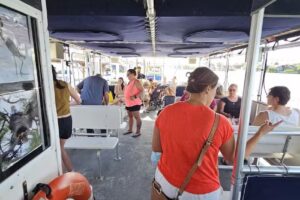 Island Adventure Dolphin Cruise Tarpon Springs