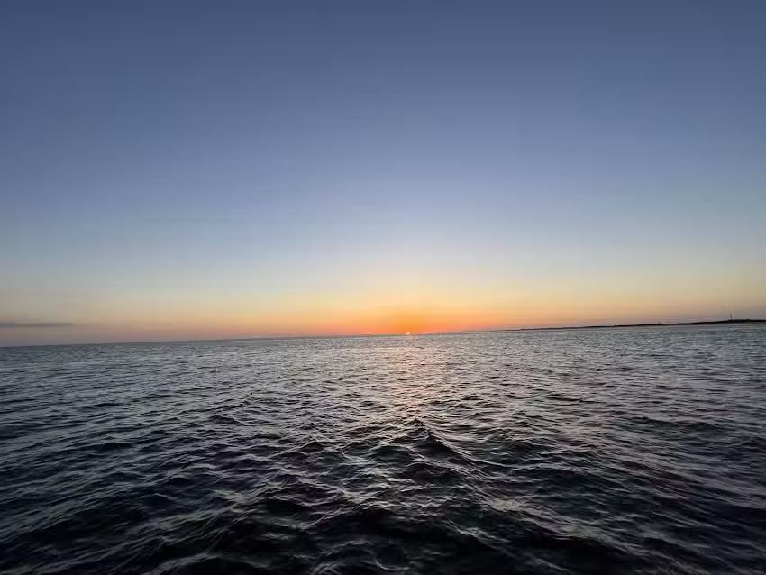 Island Adventure Dolphin Cruise Tarpon Springs