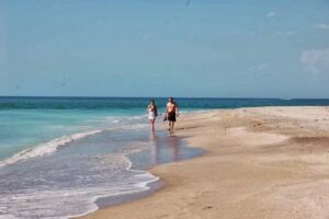 Island Boat Adventures