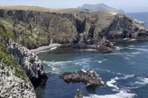 Island Packers Cruises