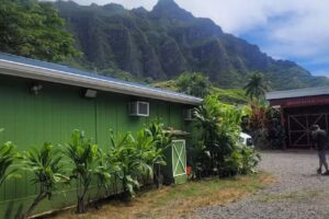 Island Rainbow Tours