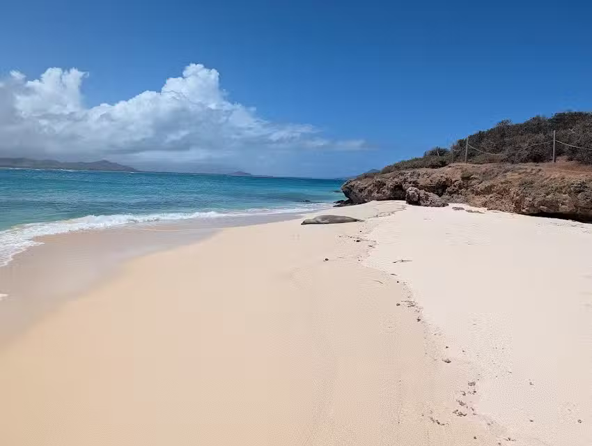 Island Water Sports Hawaii