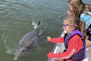 IslandAce Adventure Tours