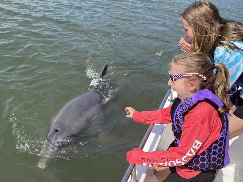 IslandAce Adventure Tours