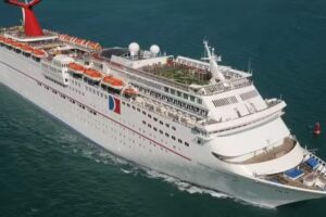 IT Tours and Notary Service