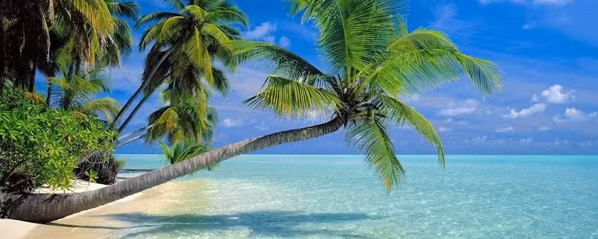 J AND C TOURS AND CRUISES INC.