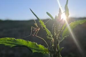 J & L Travel Services Group