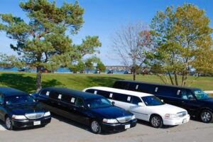 Jackrabbit Limo
