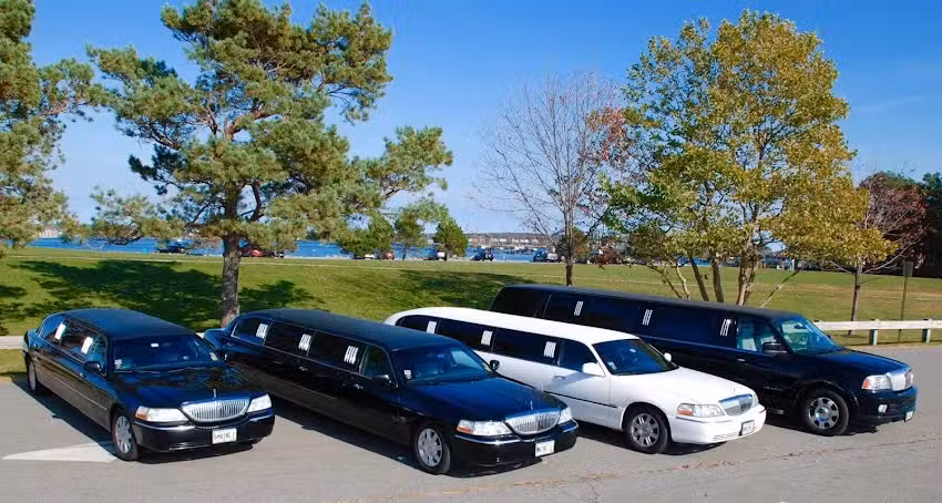 Jackrabbit Limo