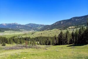 Jake’s Horses Inc.