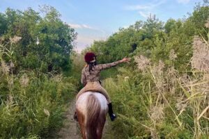 Jamaica Bay Riding Academy
