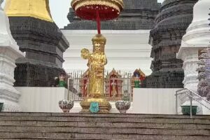 Jaycee’s Horses for Healing, Inc.