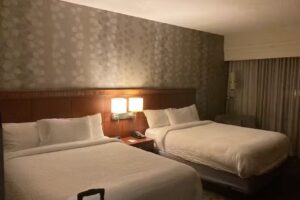 Jeana Faye&rsquo;s Travel, LLC