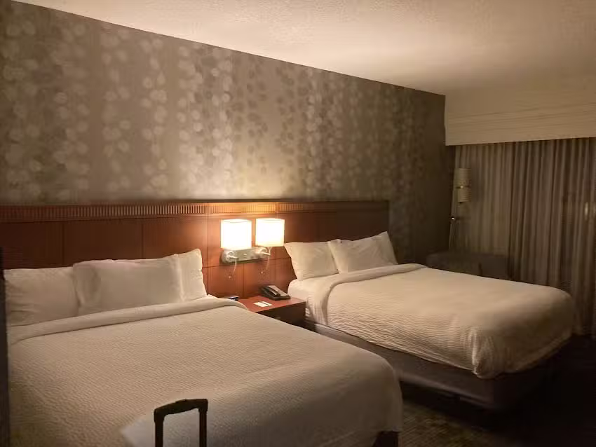 Jeana Faye&rsquo;s Travel, LLC