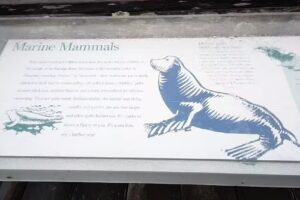 Jenner Visitor Center