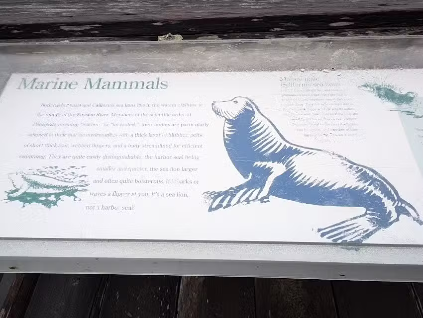 Jenner Visitor Center