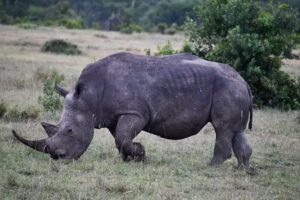 Jennifer Walker Travel