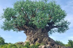 Jen’s Main Street—Affiliate of Main Street Travel LLC