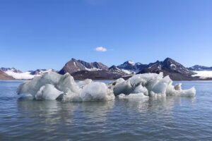 Jeremy Travel Agency Dallas