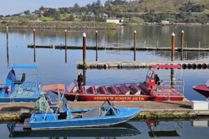 Jerry’s Rogue Jets