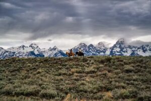 JH Outfitting Company