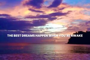 Joan Storm Dream Vacations