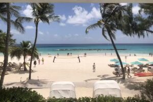 Jodi Zullo~Cupcake Castles Travel CO LLC