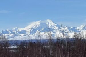 John Hall’s Alaska