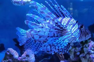 John Pennekamp Coral Reef State Park Visitor Center