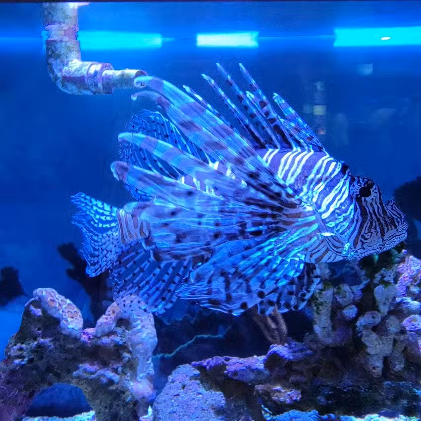 John Pennekamp Coral Reef State Park Visitor Center