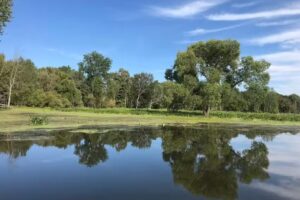 Johnny Panther Quests Adventure Trips