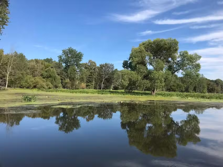 Johnny Panther Quests Adventure Trips