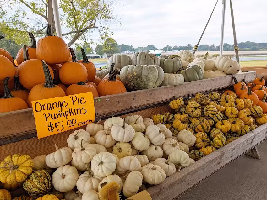 Johnston County Visitors Bureau