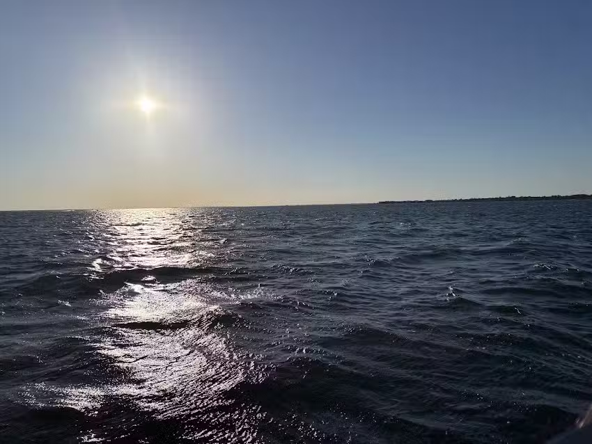 Jolly Sailing & Dolphin Cruise