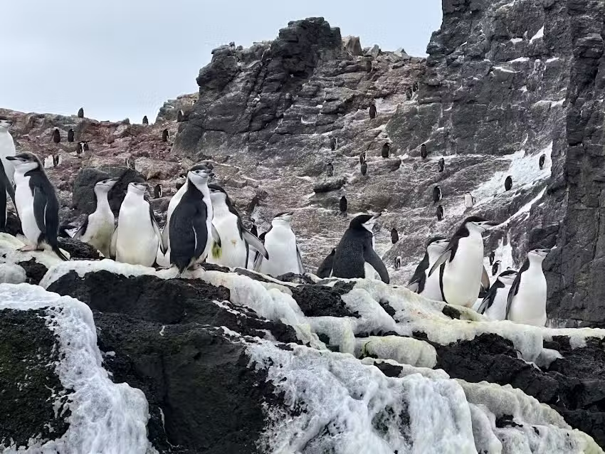 Journey Bound Travel Co.