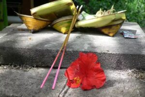 Journeys Off the Tourist Track