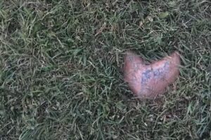 Joy as you Journey Travel LLC