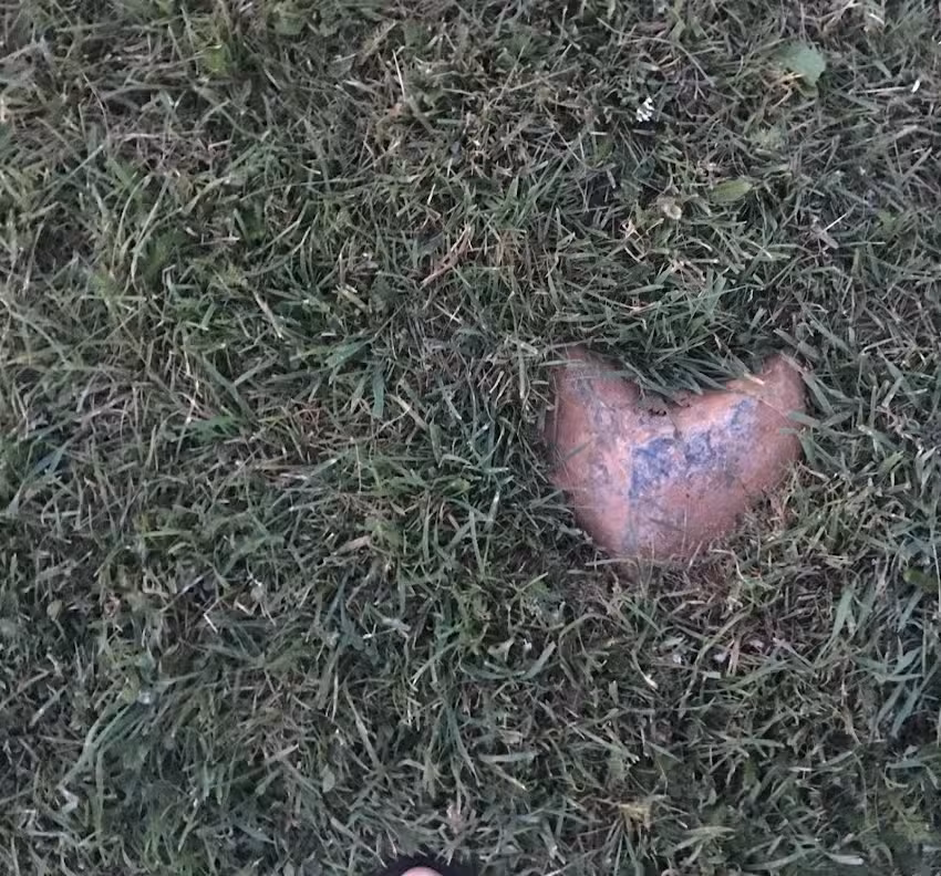 Joy as you Journey Travel LLC