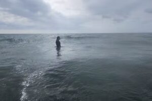 Joyvoya Cruise and Travel