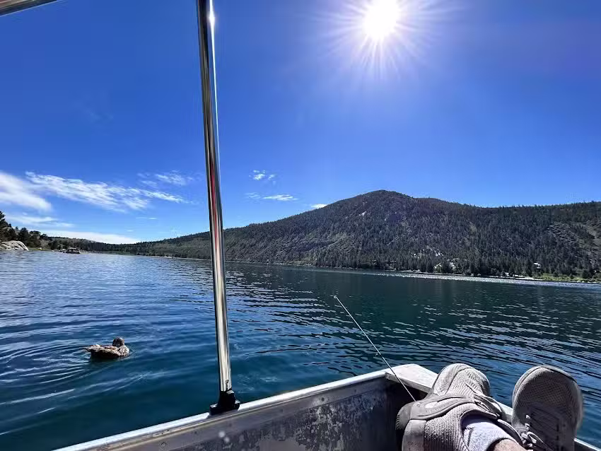 June Lake Chamber of Commerce