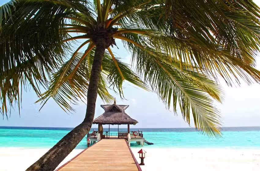 Jurnee&rsquo;s International Travel Agency
