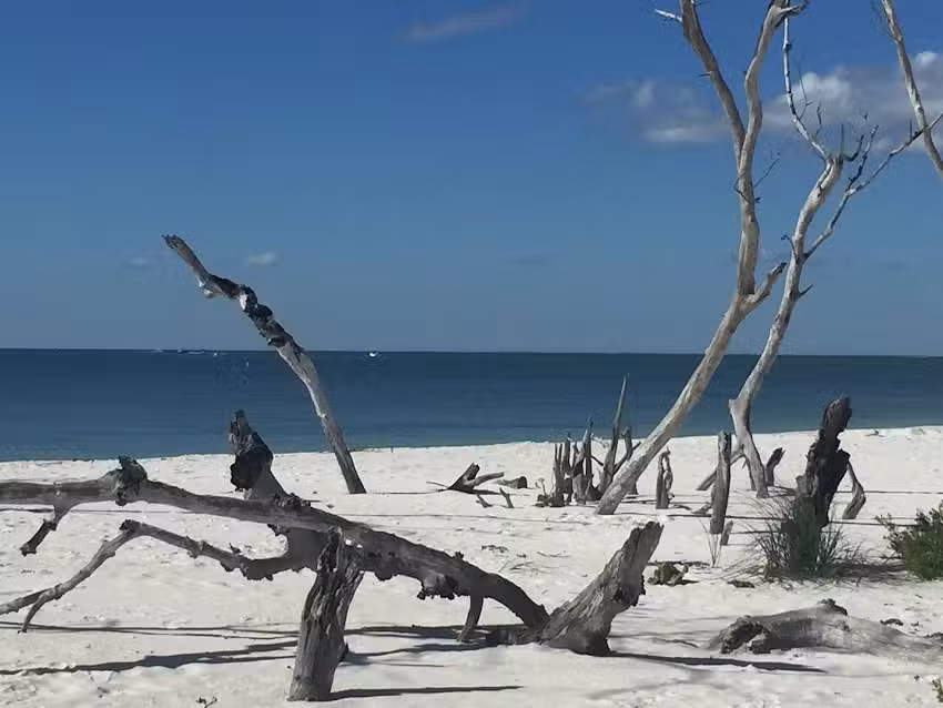 Just Add Water & Sun