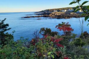 K 투어-종합여행사