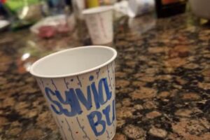 &ldquo;Kachina Cay&rdquo; Vacation Rental